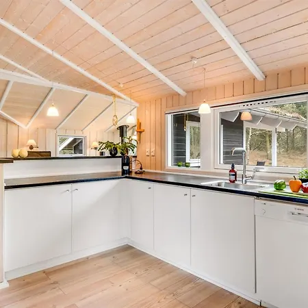 Abiorn - 2-5km From The Sea By Interhome Blåvand